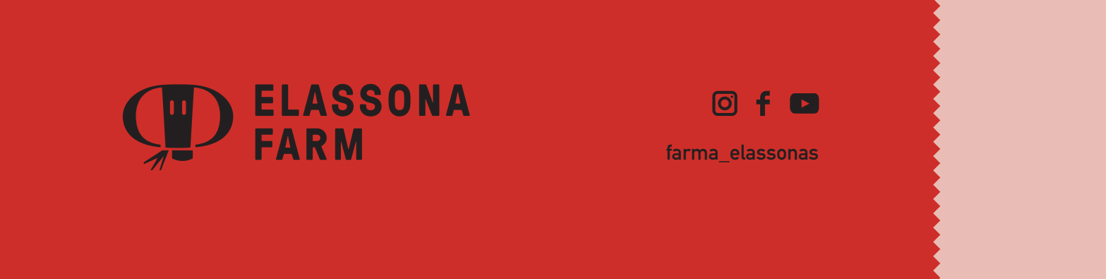 banner 1